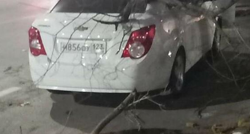 В Новороссийске норд-ост валил деревья и срывал крыши с домов