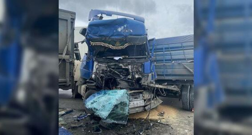 «Опять хомяки!!!»: в Новороссийске столкнулись два большегруза