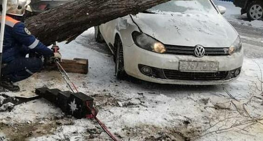 Летали лавочки и ломались деревья: последствия ночного норд-оста в Новороссийске