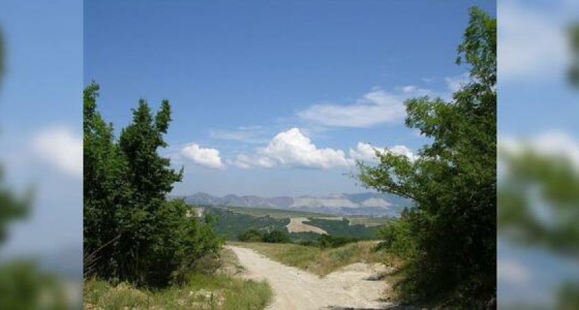 Береза, злаки и амброзия: какие аллергены витают в воздухе в Новороссийске