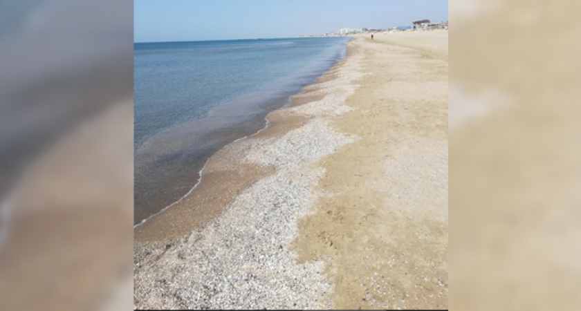 Жительница Анапы обнаружила, что береговая линия как минимум на протяжении 10 километров залита нефтью