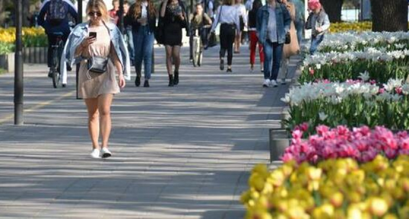 Мартовские температуры: с понедельника в Новороссийске заметно потеплеет