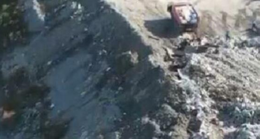 Эндуристы из Абрау-Дюрсо спасли от гибели собаку и енота