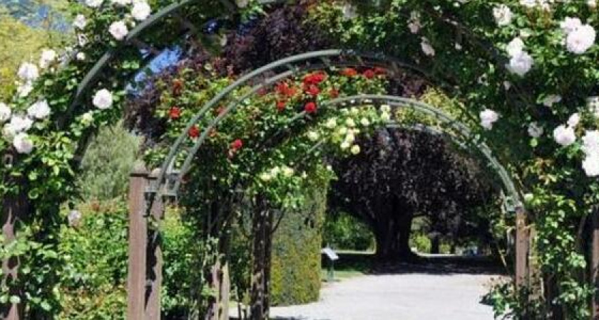 В Новороссийске установят 19 белоснежных арок, по которым будут виться цветы