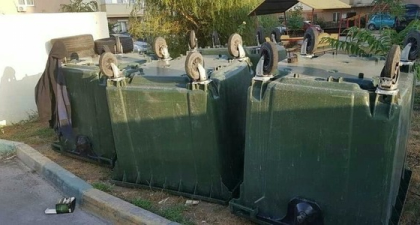 «Позорный поступок»: во дворе многоэтажки в Новороссийске мусорные контейнеры разместили на розах в палисаднике