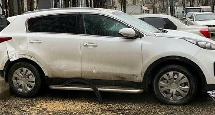 "Встала утром, а на авто огромная вмятина!": новороссийка требует возмещения ущерба от коммунальщиков, которые "уронили" дерево на ее машину