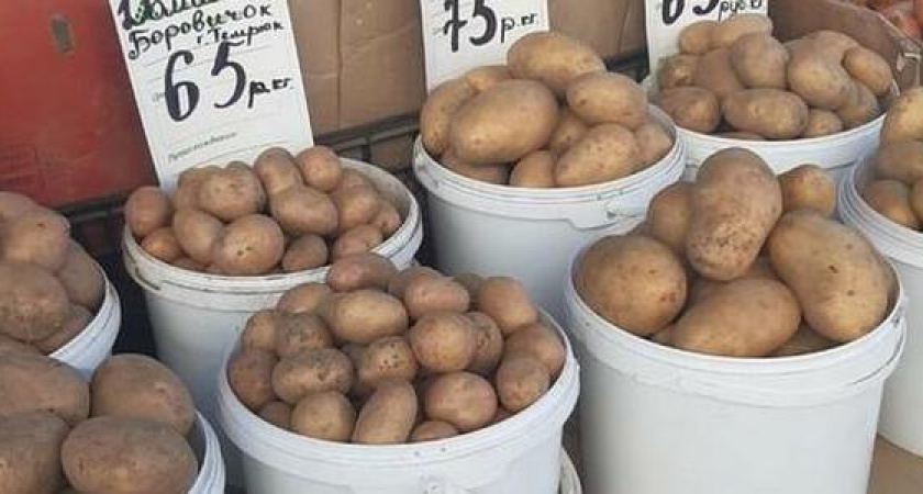 Картошка по цене заграничных фруктов: в Новороссийске цены на овощи катастрофически растут