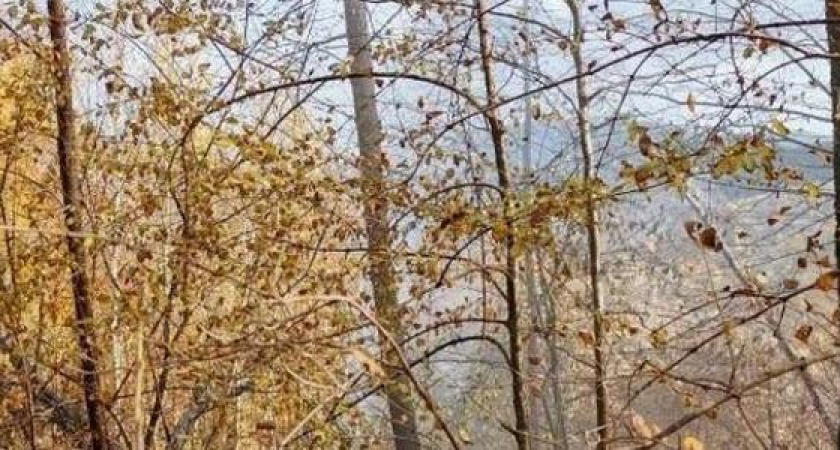 "Всем наплевать!": пятиметровый столб воды рядом с Неберджаевским водохранилищем бьет уже две недели