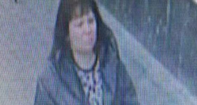 Полиция Новороссийска ищет свидетельницу правонарушения (фото с камеры наблюдения)