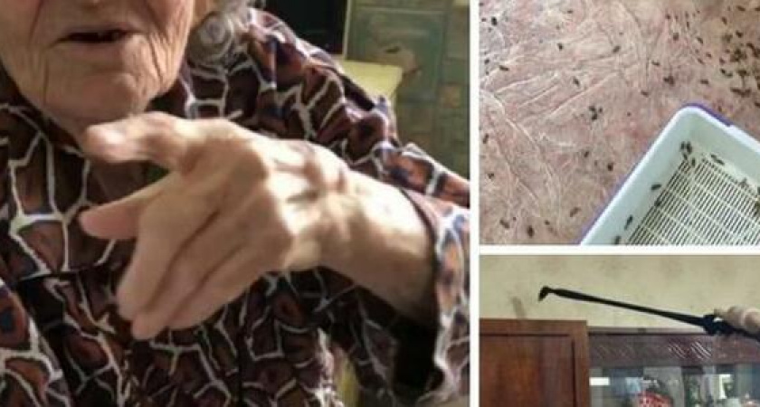 Сотни тысяч тараканов, разруха и жуткий смрад: новороссийские волонтеры помогли навести порядок в квартире пенсионеров