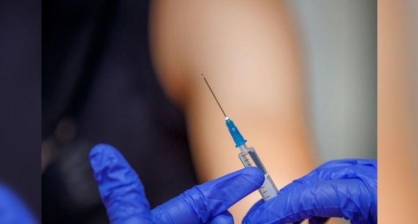 «В Новороссийске нет вакцины от бешенства»: горожане жалуются на отсутствие препарата от смертельного заболевания