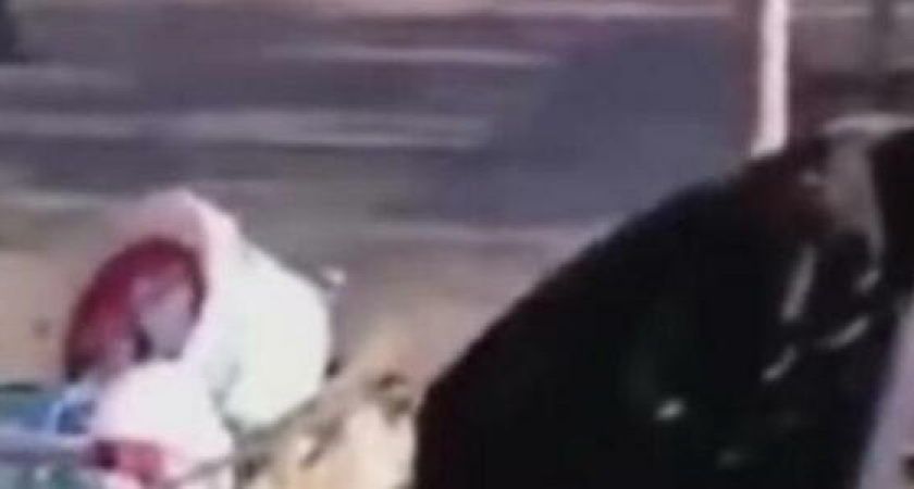 «Сидит одинокая, и никому до нее нет дела…»: житель Новороссийска снял на видео бездомную бабушку, спящую на бульваре Черяховского