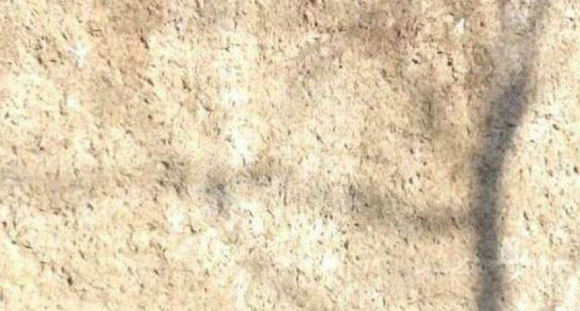 «История на вывоз…»: морской порт Новороссийска раздает всем желающим 5-тонные «сувениры»