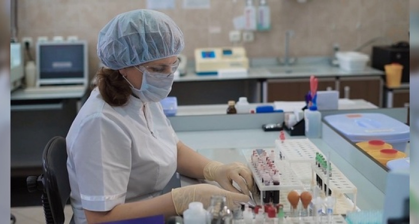 Переносчики смертельных тропических болезней обнаружены на Черноморском побережье