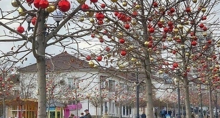 Все каштаны в бульваре Черняховского украсили новогодними шарами