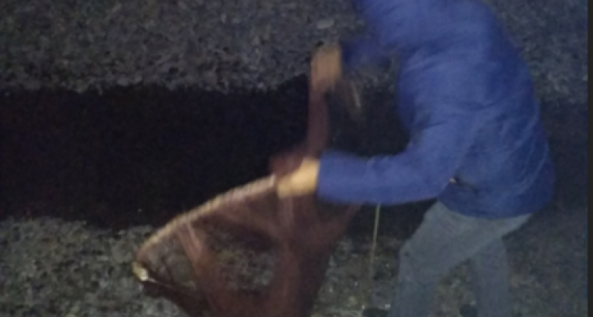 В Новороссийске браконьеры ставят ловушки в проране Суджукской лагуны