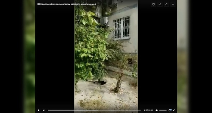 В Новороссийске многоэтажку затопило канализацией: видео с места аварии