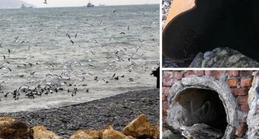 "Вода мутная, грязная и воняет! Это канализация!": новороссийцы прошлись по набережной и зафиксировали сливы в море