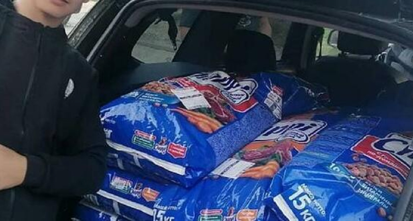 Добрые новости: 9-классник из Новороссийска выиграл 15 тысяч рублей и потратил их на корм для бездомных собак