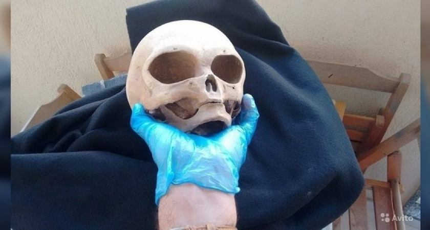 Новороссиец продает на «Авито» череп инопланетянина