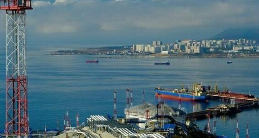 В Новороссийске будут следить за качеством морской воды при помощи мидий, устриц и водорослей