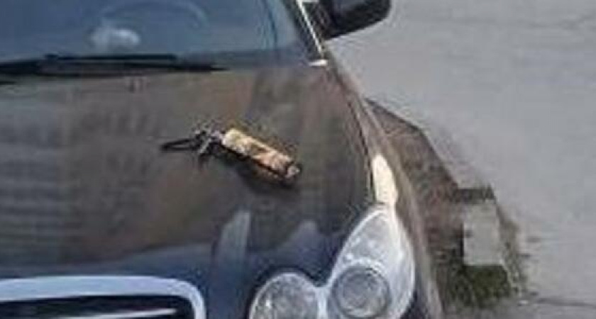 В качестве предупреждения жильцы многоэтажки Новороссийска оставили на капоте авто «жидкие гвозди» за парковку на газоне