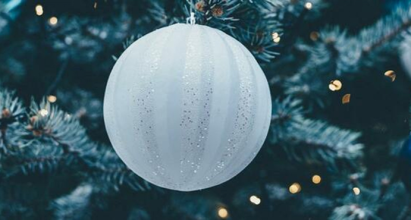 Настроение-предновогоднее: эко-блогер из Новороссийска рассказала, какие подарки не навредят природе