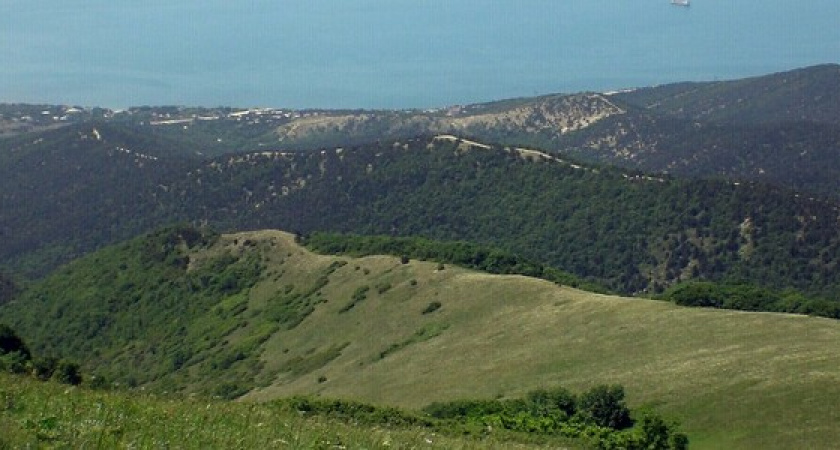 За вход в леса Новороссийска и Геленджика брали плату. За дело взялась прокуратура