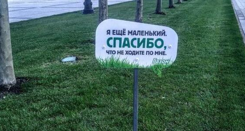 "Я еще маленький. Спасибо, что не ходите по мне". Новороссийцы заметили милые таблички на городских газонах