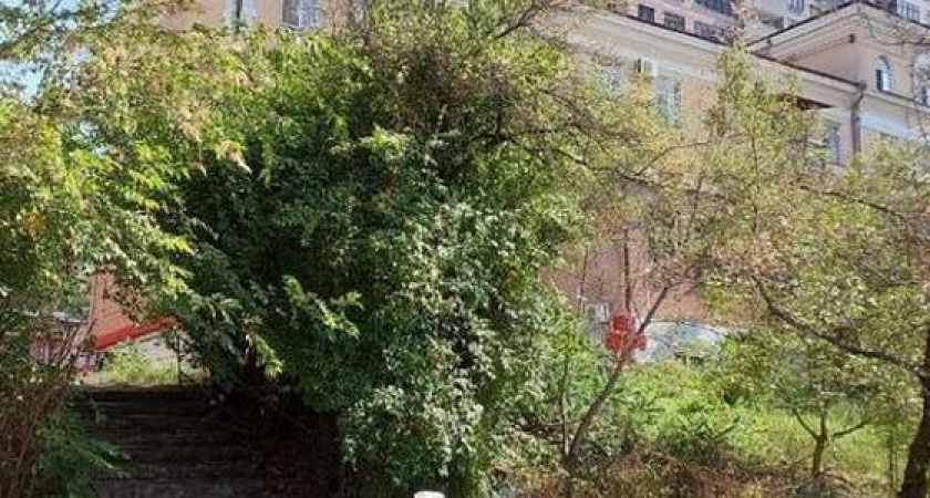 Центр Новороссийска утопает в мусоре: люди оставляют отходы прямо на дороге