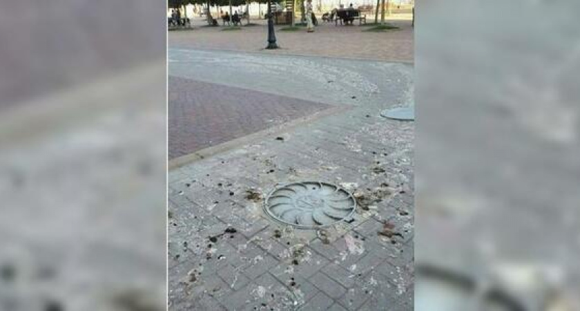 Фекалии на бульваре: жители Новороссийска выложили в сеть фотографии, как канализационные стоки стекают вдоль каштановой аллеи на улице Черняховского