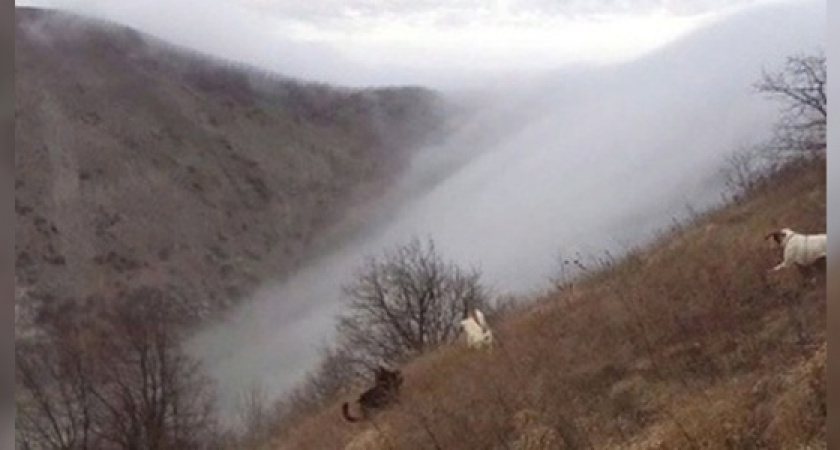 «Прогулялись в «бороде»: житель Новороссийска снял на видео, как выглядят изнутри густые облака, сползающие с гор