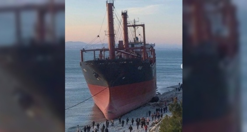 Супруги из Новороссийска приехали посмотреть на корабль «Rio» и заблудились в лесу