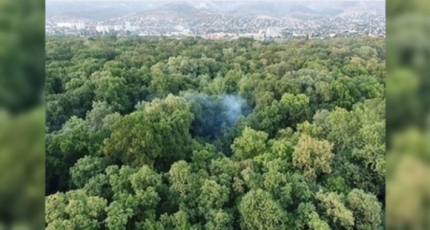 Жителей Новороссийска напугал дым в Цемесской роще