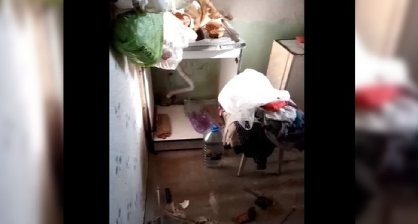 «Нужду справляет в кухне»: жительница Новороссийска превратила квартиру в помойку