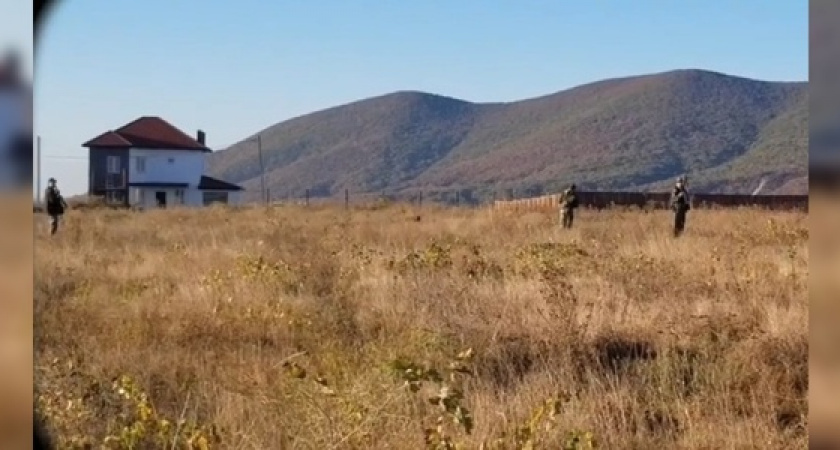 Охотники подстрелили собаку, которая гуляла с хозяйкой в виноградниках Новороссийска (видео)