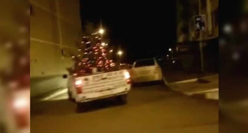 «Дед Мороз за рулем?»: пикап с новогодней елкой разъезжает по улицам Новороссийска