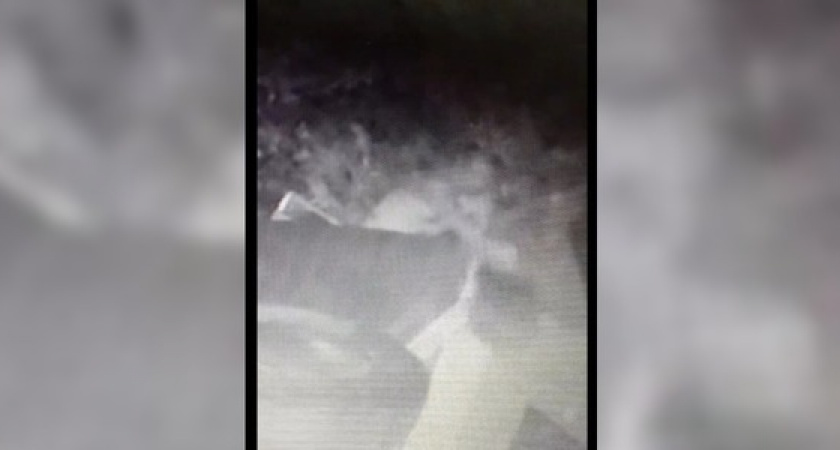 На Мефодиевке мужчина ведрами заливает двор соседки фекалиями (видео)