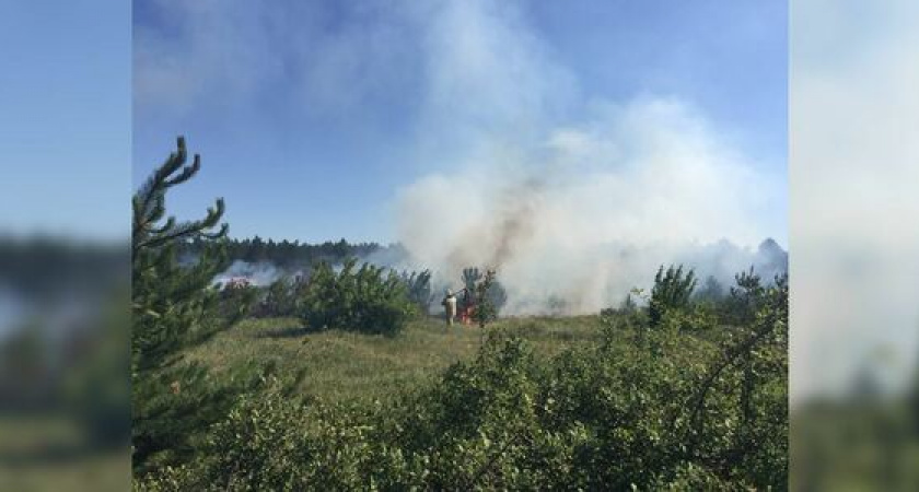 Экстренное предупреждение от МЧС: в Новороссийске ожидается чрезвычайная пожароопасность 5 класса