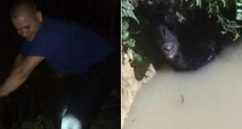 Новороссийские спасатели помогли овце выжить