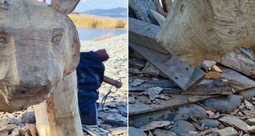 Праздник к нам приходит: на мысе Суджук началась установка тигра - символа 2022 года