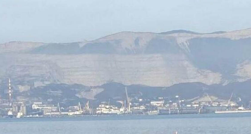 В Новороссийске около храма-маяка поселилась семья лебедей