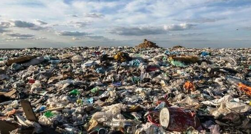 На мусорном полигоне Темрюка нашли  мертвого младенца