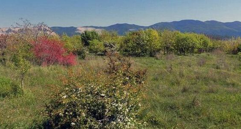 Новороссийцев зовут на субботник в Дендропарк