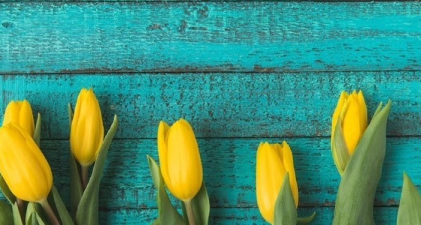 Как заработать на 8 Марта - 6 способов подработки для жителей Новороссийска