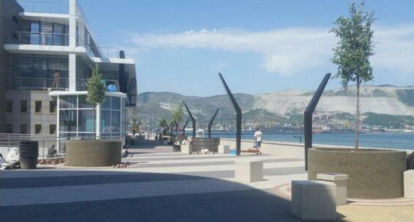 На набережной в районе городского пляжа высаживают деревья - лох узколистный