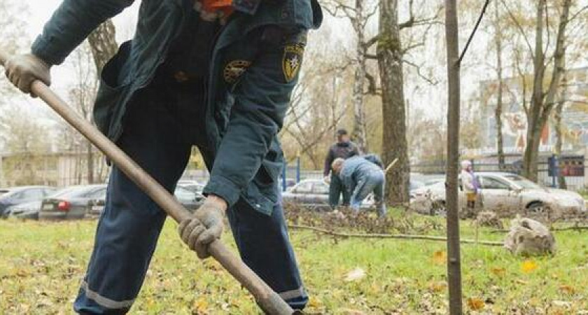 58 деревьев и живая изгородь появятся в Южном районе Новороссийска