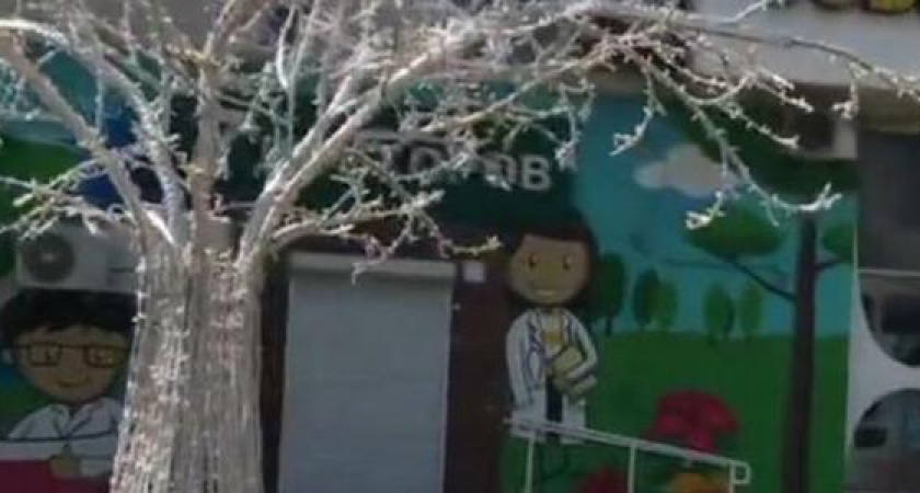 В Новороссийске продолжат устанавливать светящиеся деревья