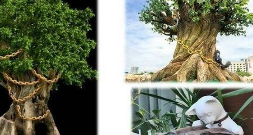 В Новороссийске выделено 750 тысяч рублей на проектирование парка "Дубрава"