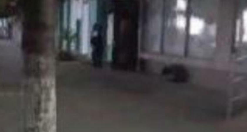 «Обычное кафе превращается в шумный балаган!» Жители Новороссийска жалуются на подпольные дискотеки на Энгельса